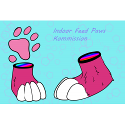 INDOOR Feed Paws